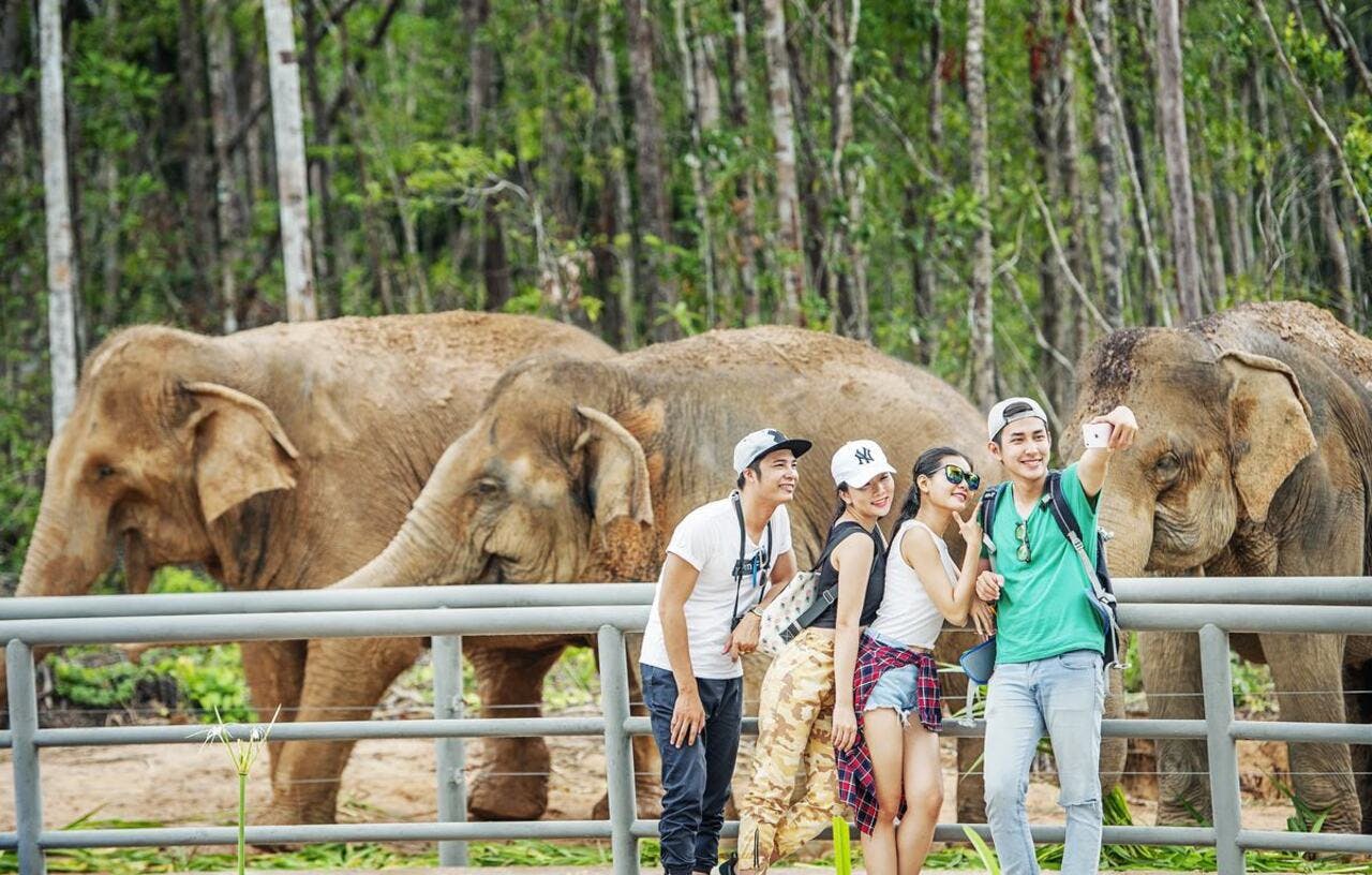 VinPearl Safari Phu Quoc + Teddy Bear Museum Combo Ticket 