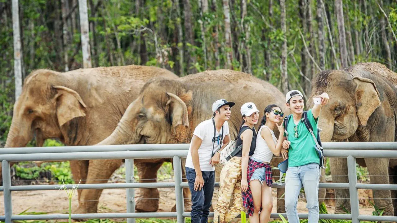 VinPearl Safari Phu Quoc + Teddy Bear Museum Combo Ticket