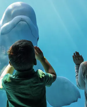 Chicago CityPASS : 5 Top Attractions