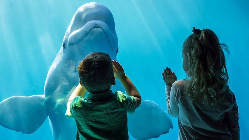 Chicago CityPASS : 5 Top Attractions