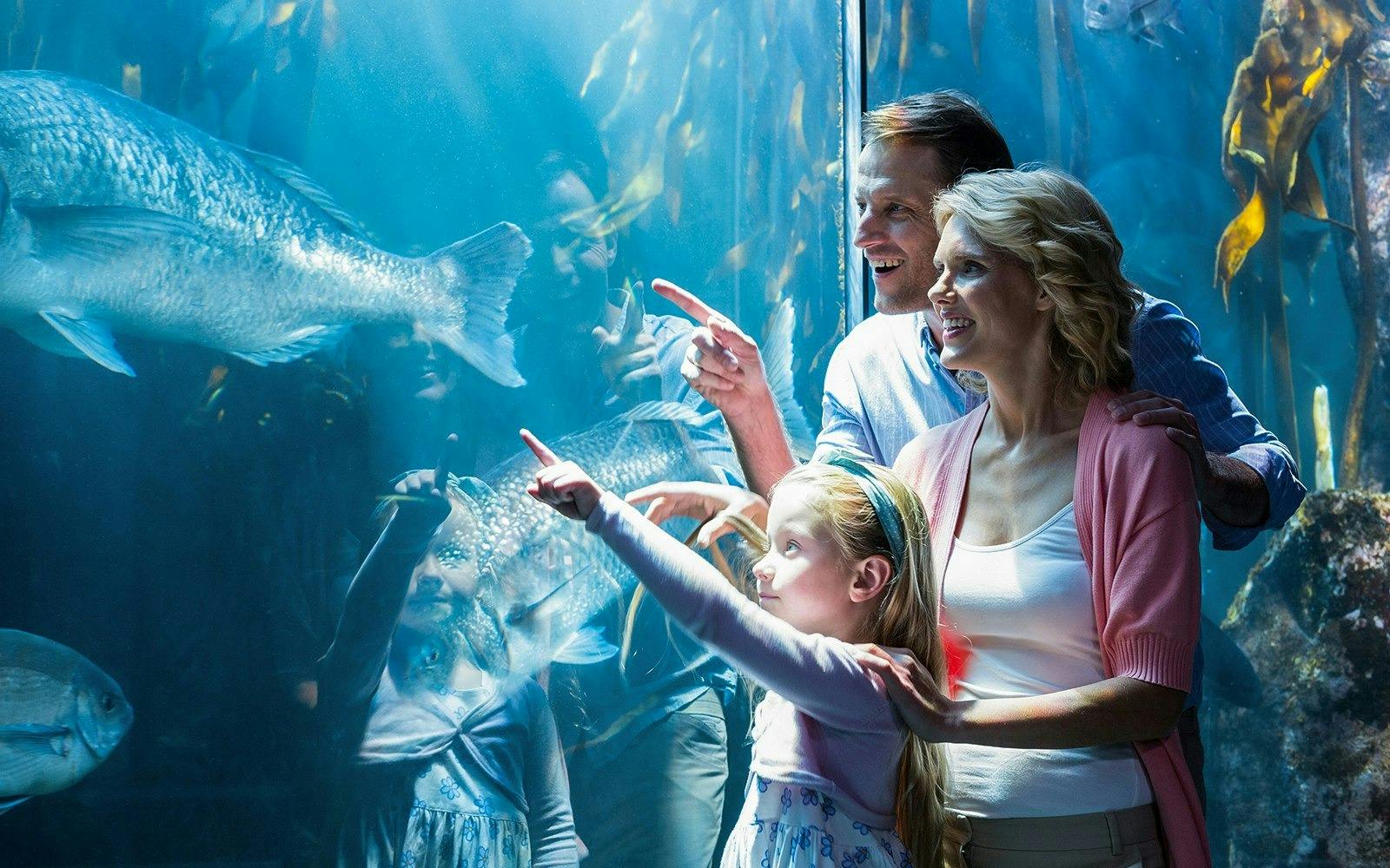 Chicago CityPASS : 5 Top Attractions 
