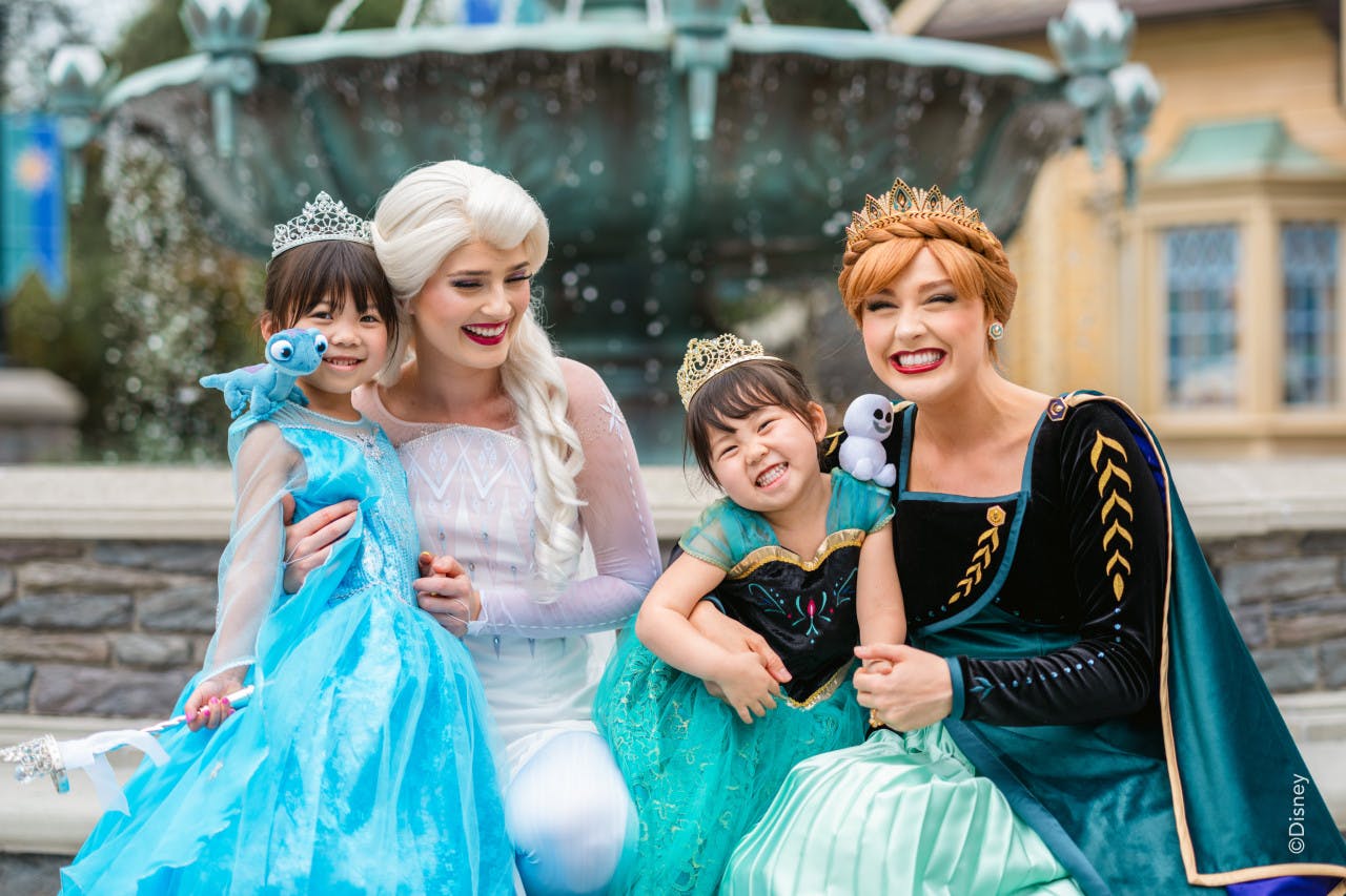 Hong Kong Disneyland Disney Premier Access Ticket Ticket