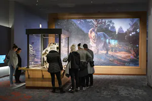 Go City Chicago All-Inclusive Pass – Save up to 50%