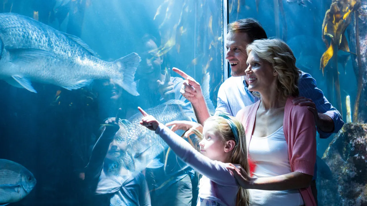 Go City Chicago All-Inclusive Pass – Save up to 50% Review