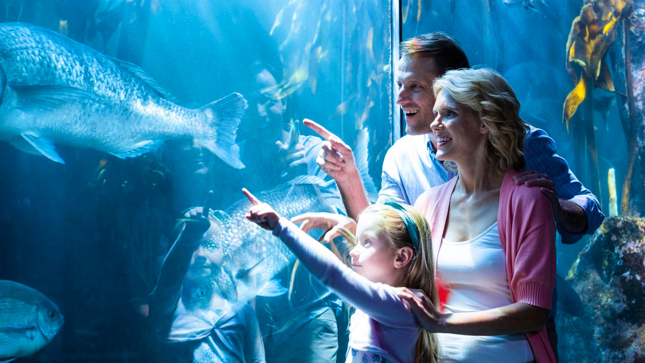 Go City Chicago All-Inclusive Pass – Save up to 50% Review