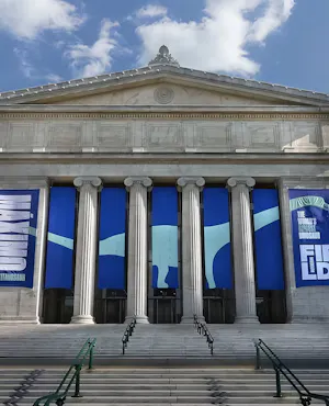 The Field Museum of Natural History Ticket