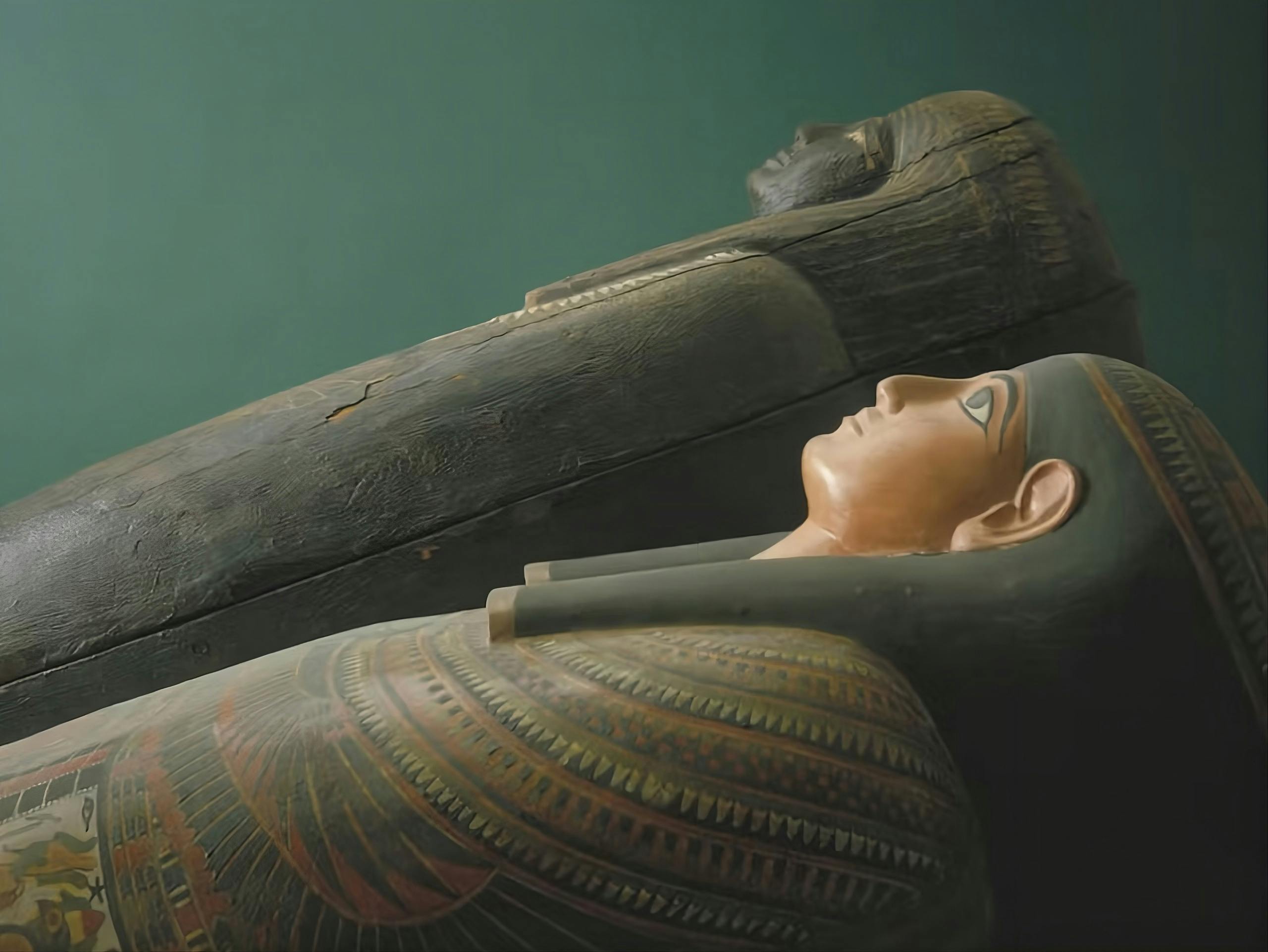 The Field Museum of Natural History Ticket