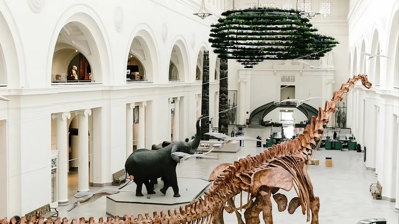 The Field Museum of Natural History Ticket Ticket