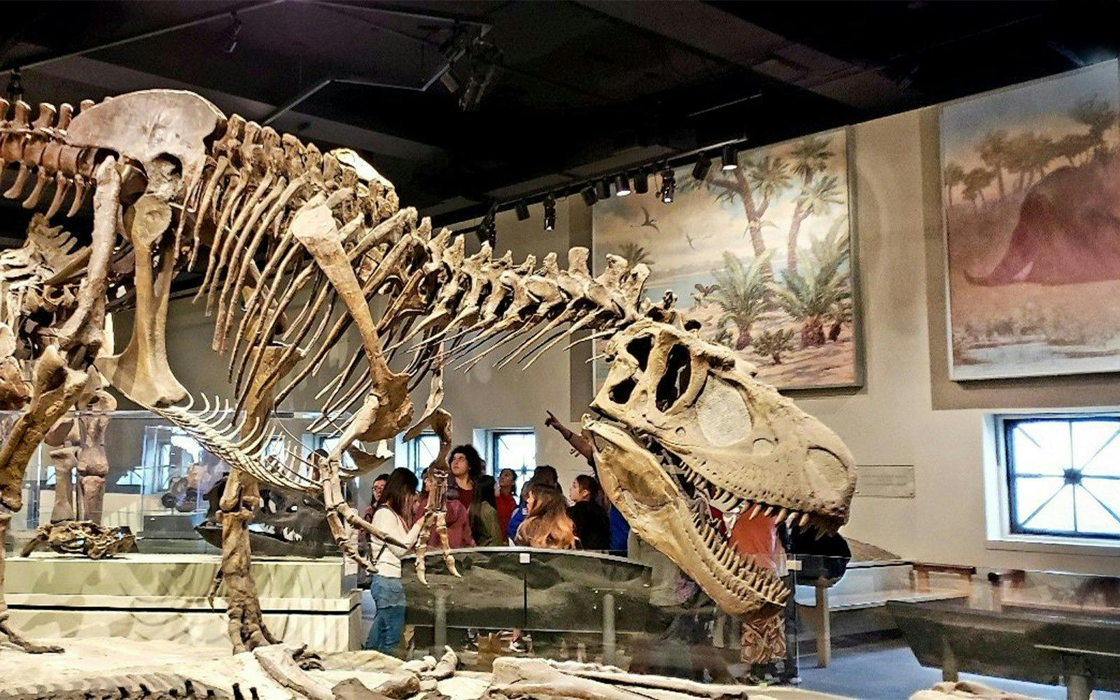 The Field Museum of Natural History Ticket Discount