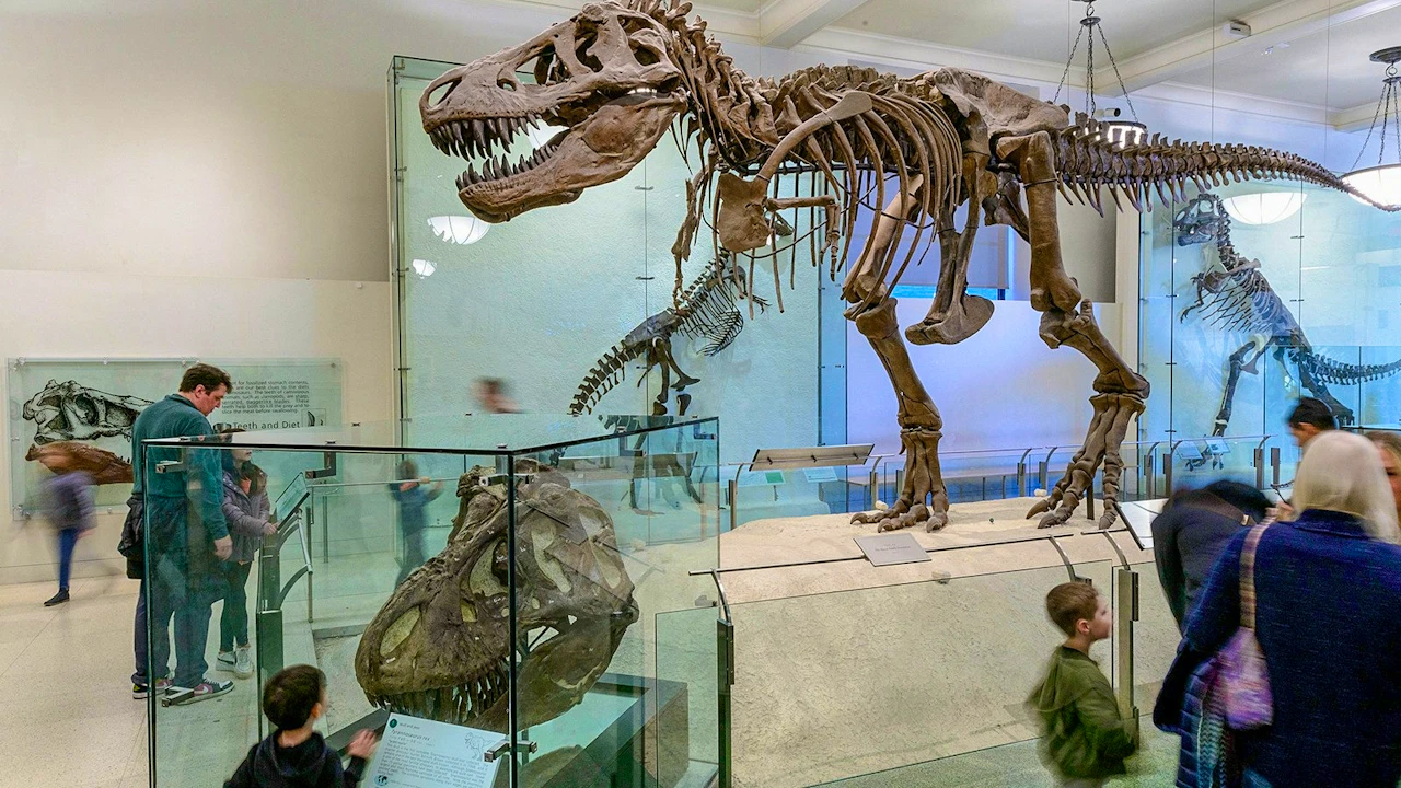 The Field Museum of Natural History Ticket Location