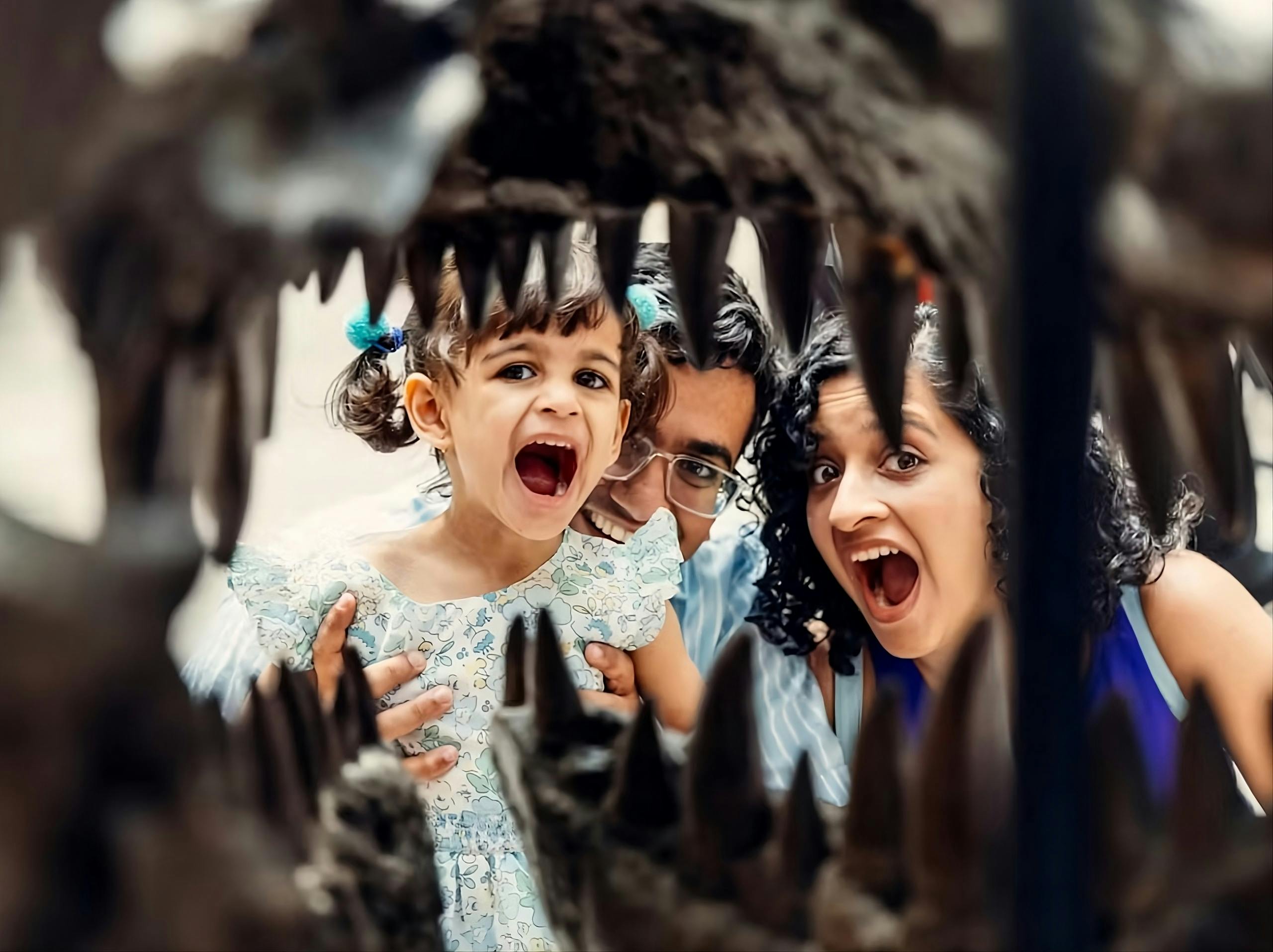 The Field Museum of Natural History Ticket Price