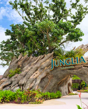 Junglia Okinawa Ticket