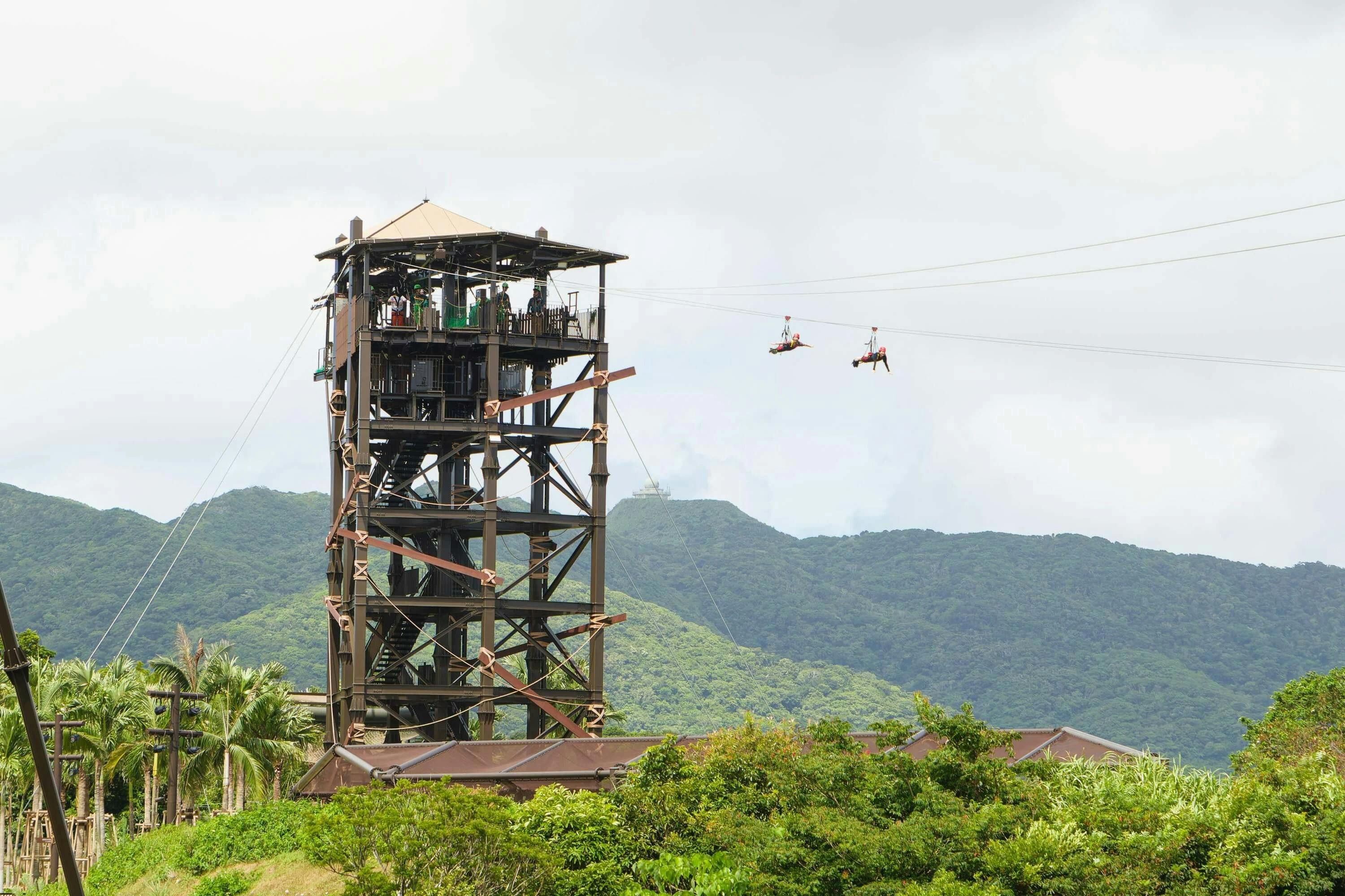 Junglia Okinawa Ticket  Review