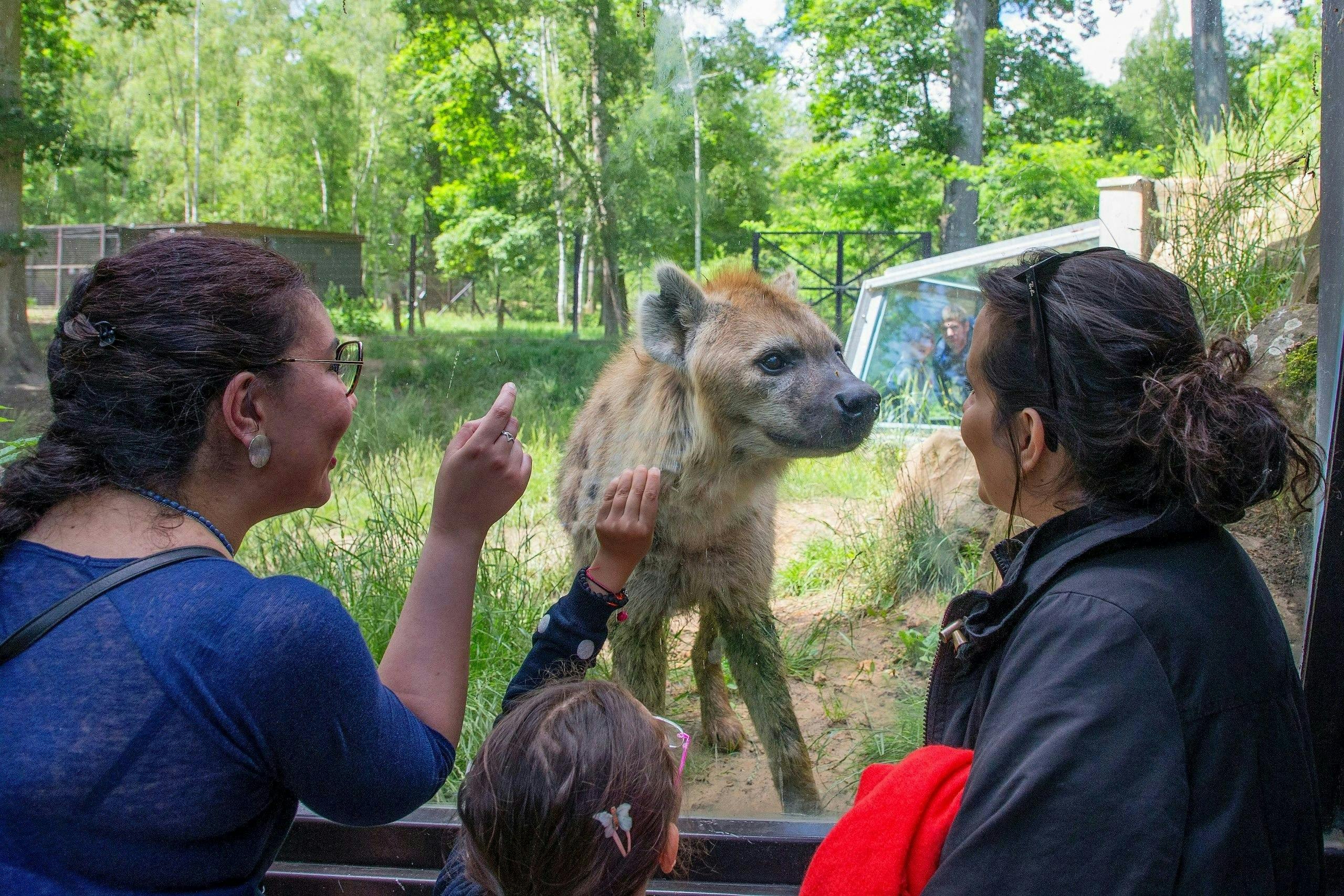 Thoiry ZooSafari: Skip The Line Ticket 