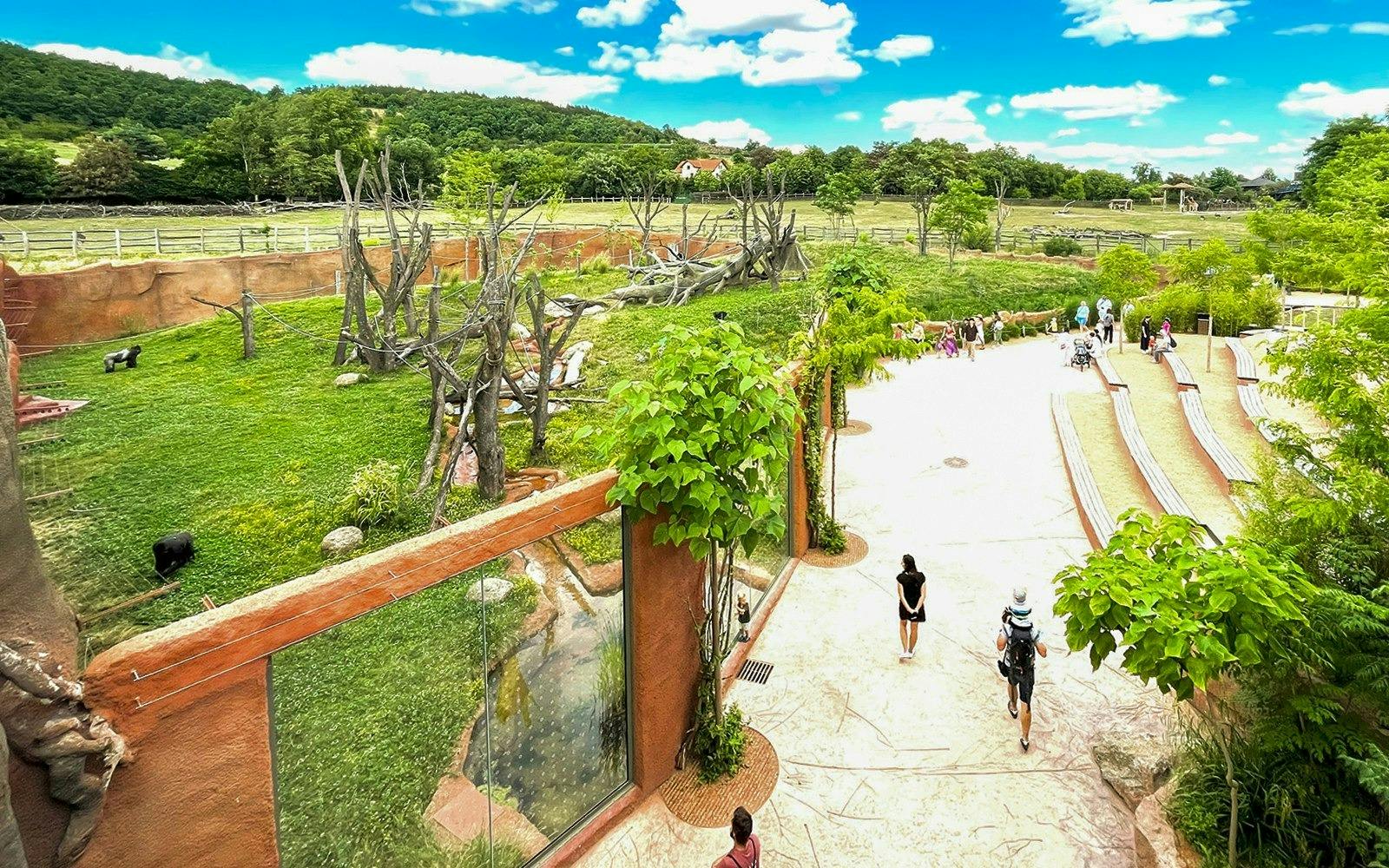 Thoiry ZooSafari: Skip The Line Ticket 