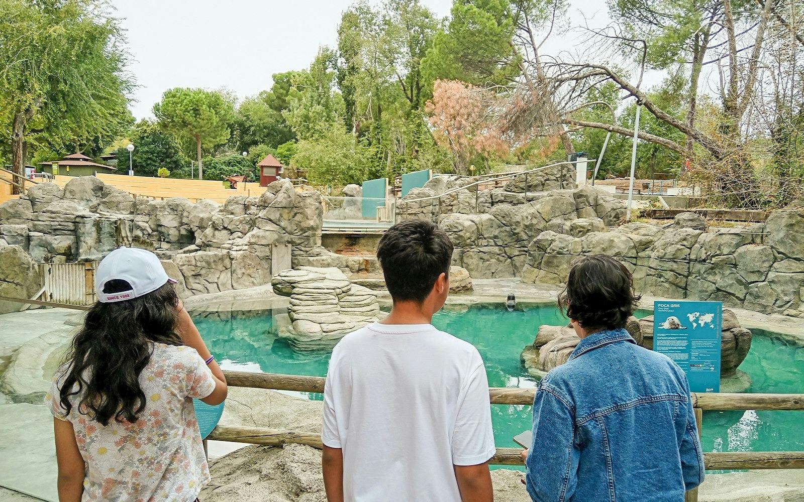 Thoiry ZooSafari: Skip The Line Ticket 