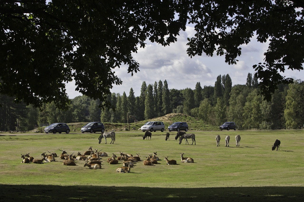 Thoiry ZooSafari: Skip The Line Ticket Review