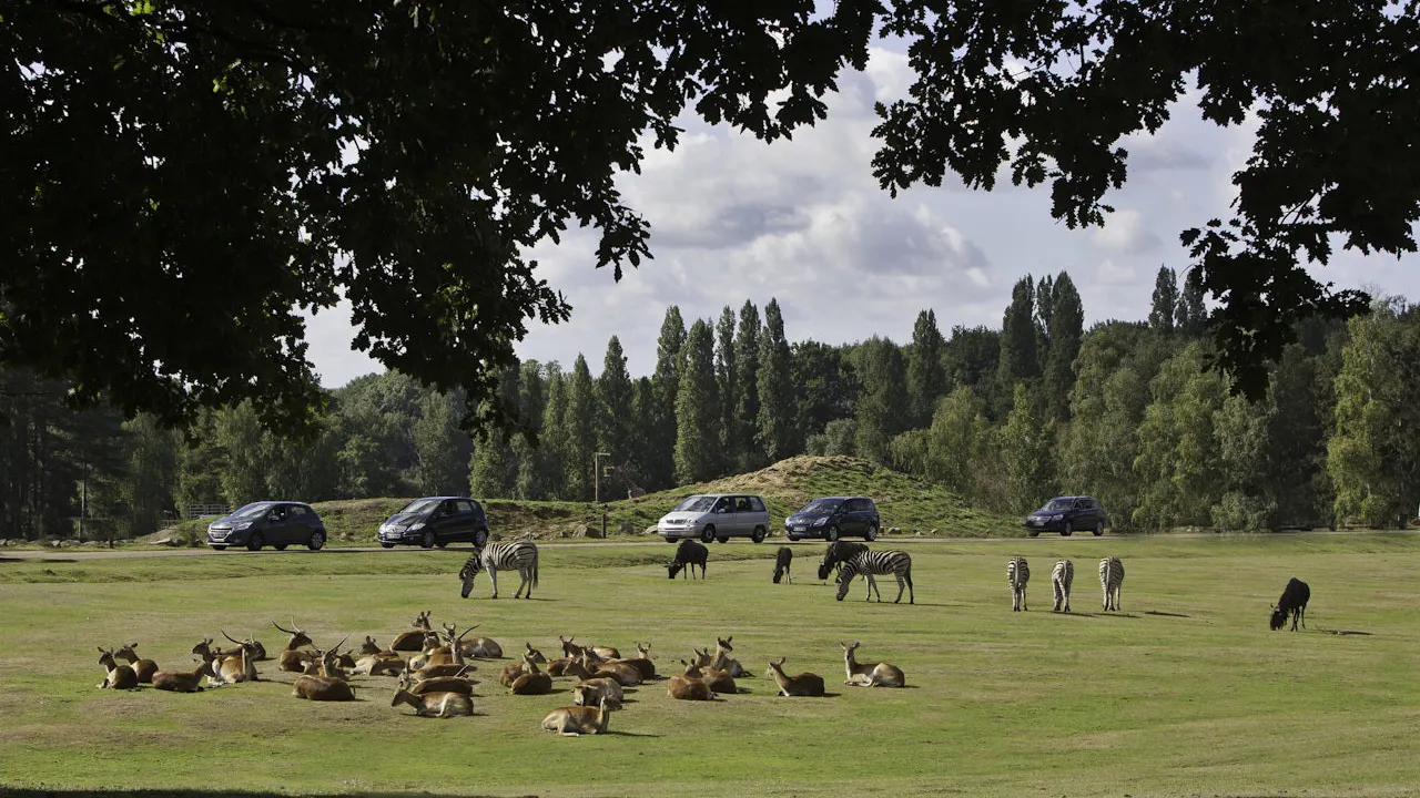 Thoiry ZooSafari: Skip The Line Ticket Review