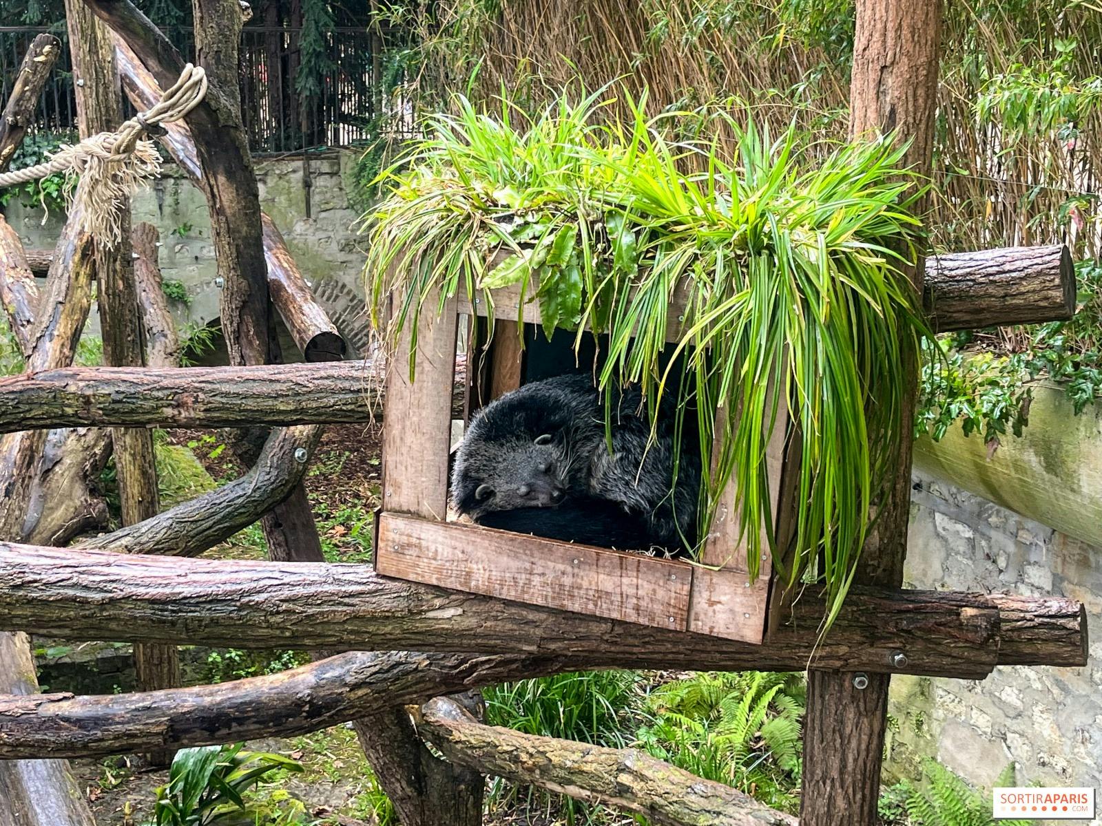 Menagerie, Zoo of the Jardin des Plantes Category