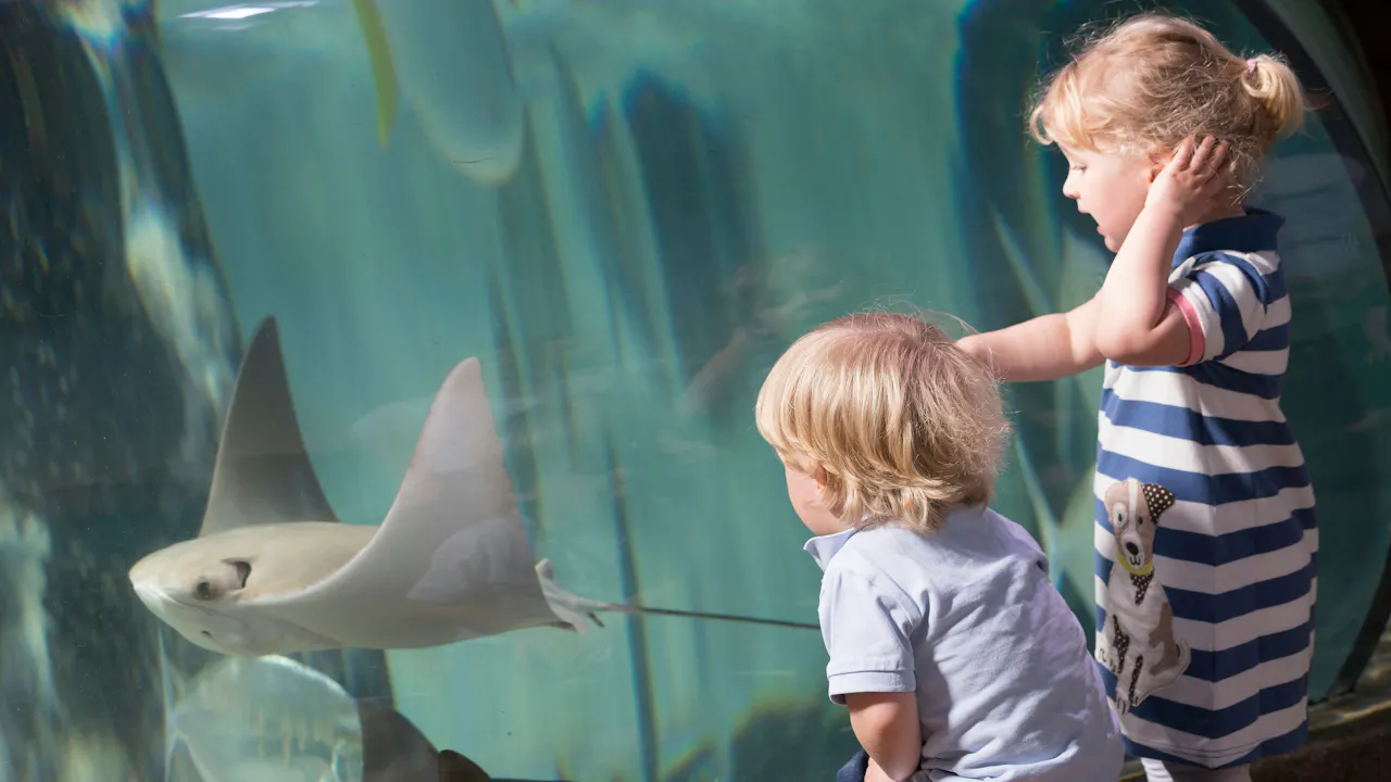 SEA LIFE Paris Aquarium Ticket Thrillark