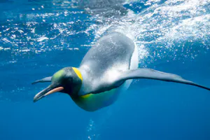 SEA LIFE Paris Aquarium Ticket