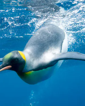 SEA LIFE Paris Aquarium Ticket