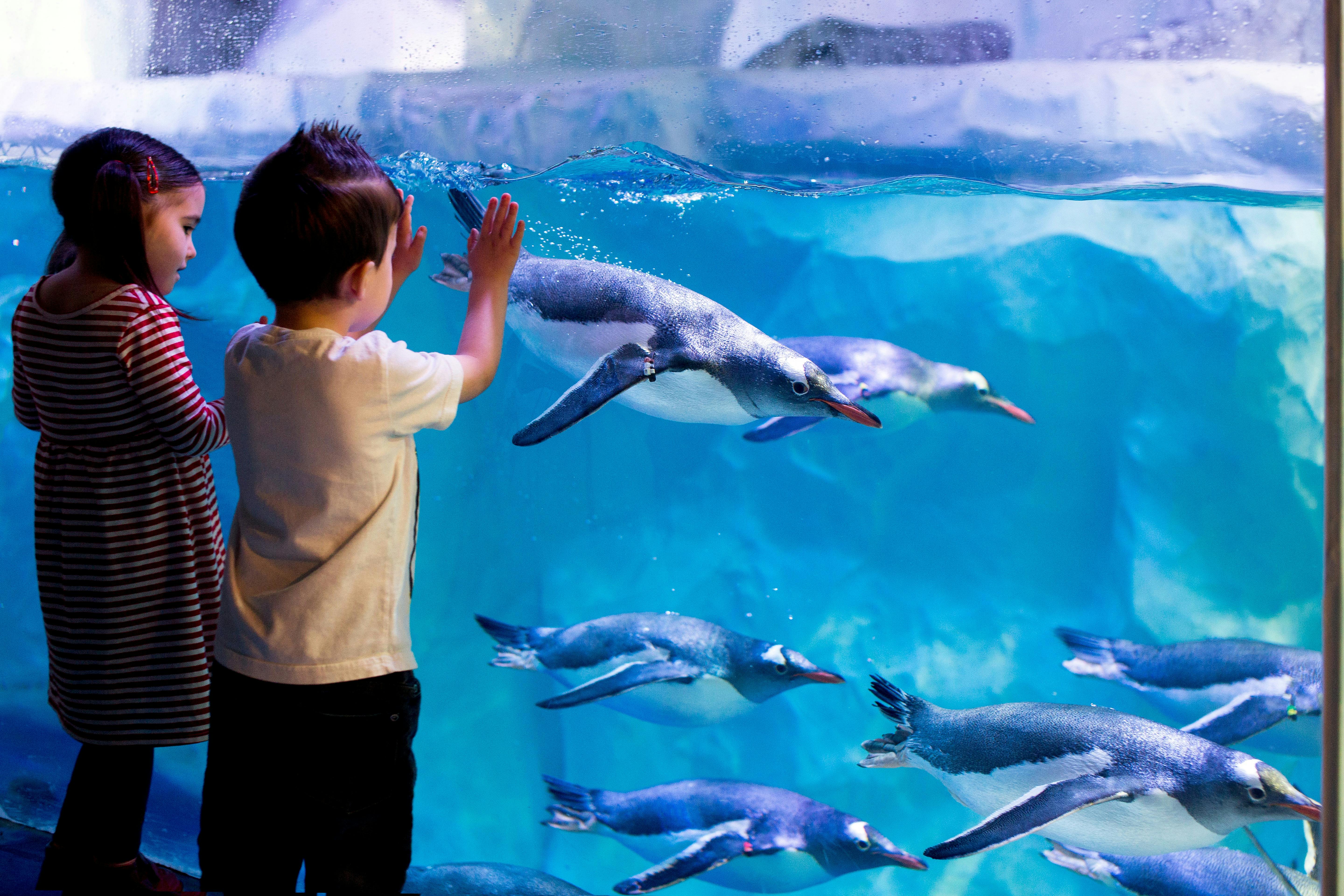 SEA LIFE Paris Aquarium Ticket Price