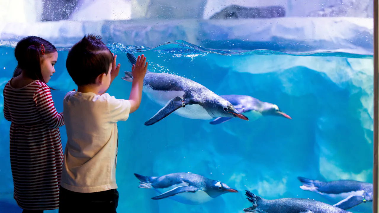 SEA LIFE Paris Aquarium Ticket Price