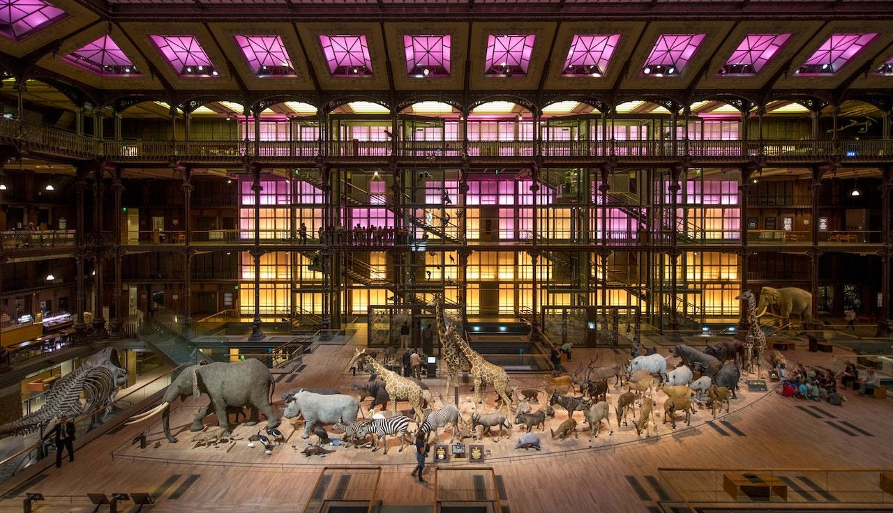 Grande Galerie de l'Évolution: Skip The Line Ticket