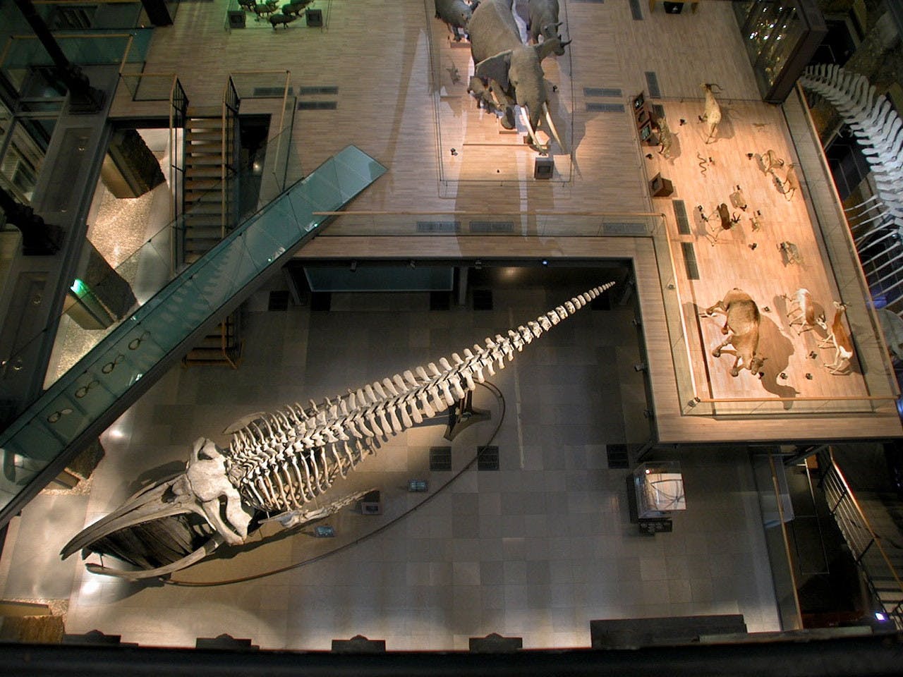 Grande Galerie de l'Évolution: Skip The Line Location