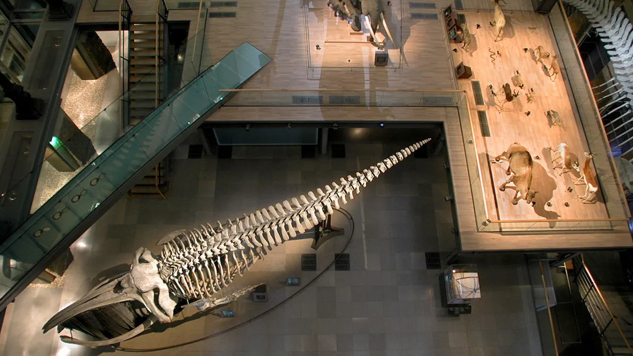 Grande Galerie de l'Évolution: Skip The Line Location