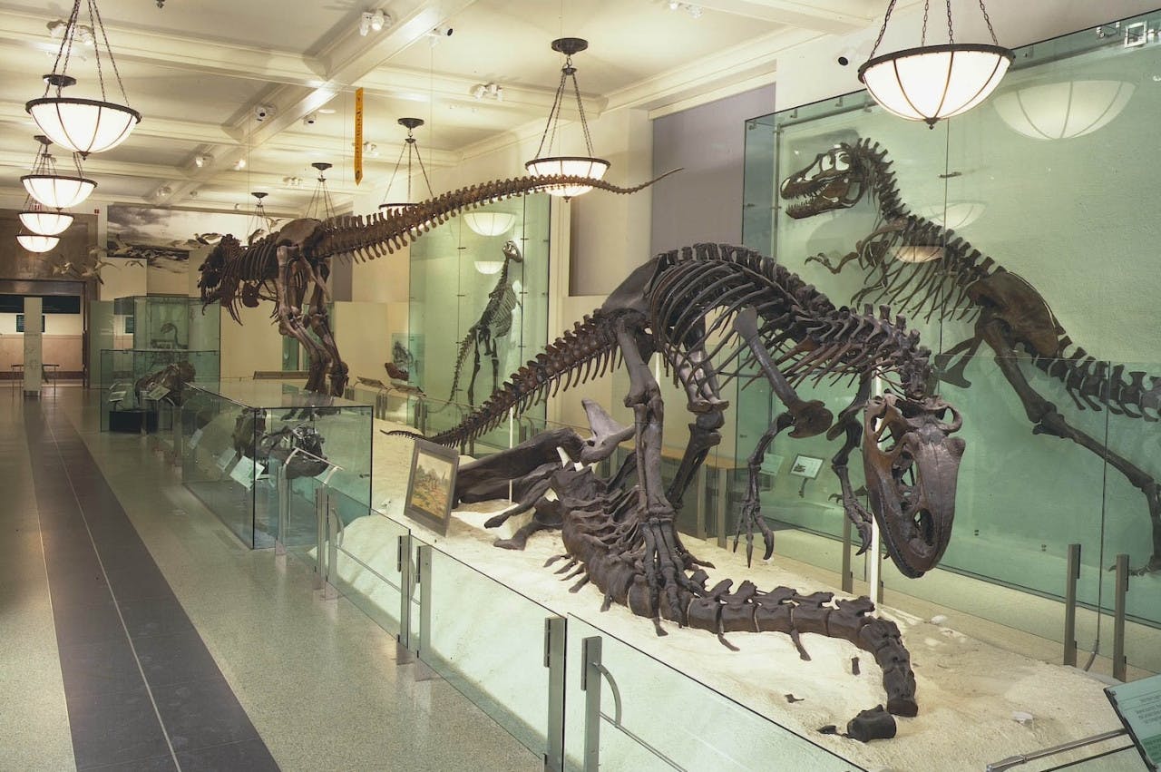 American Museum of Natural History Ticket + Madame Tussauds Location