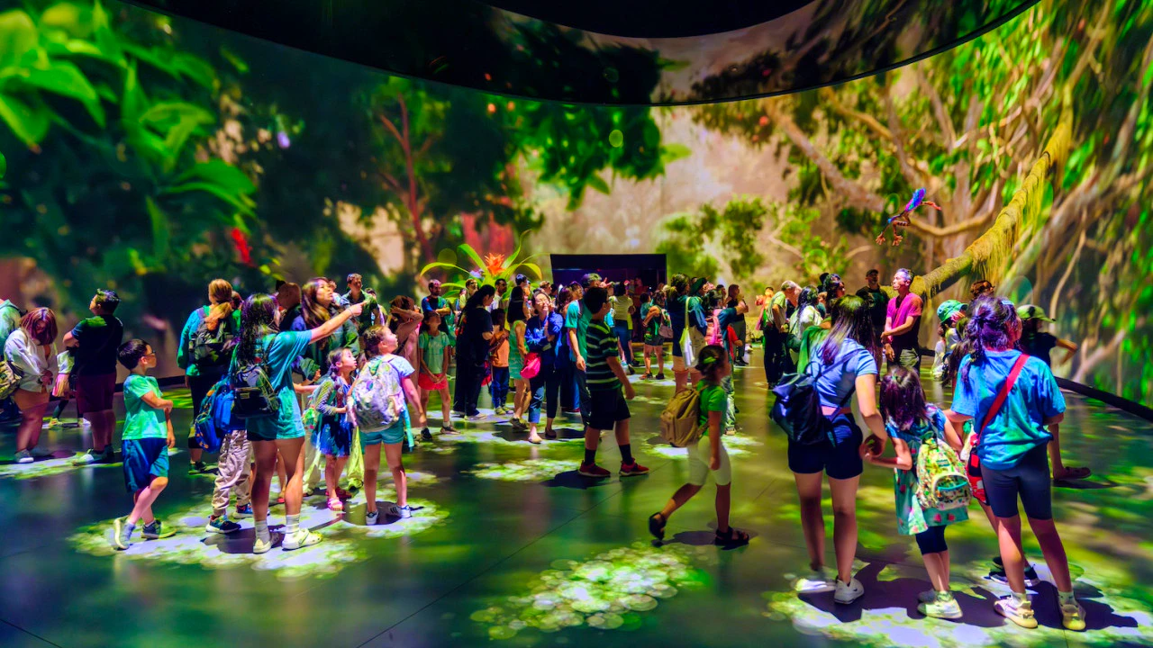 American Museum of Natural History Ticket + Madame Tussauds Category