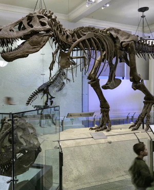 American Museum of Natural History Ticket + The Museum of Modern Art