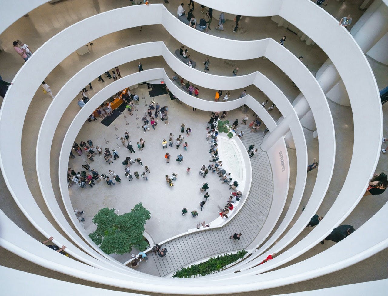 The Museum of Modern Art (MoMA) + The Guggenheim 