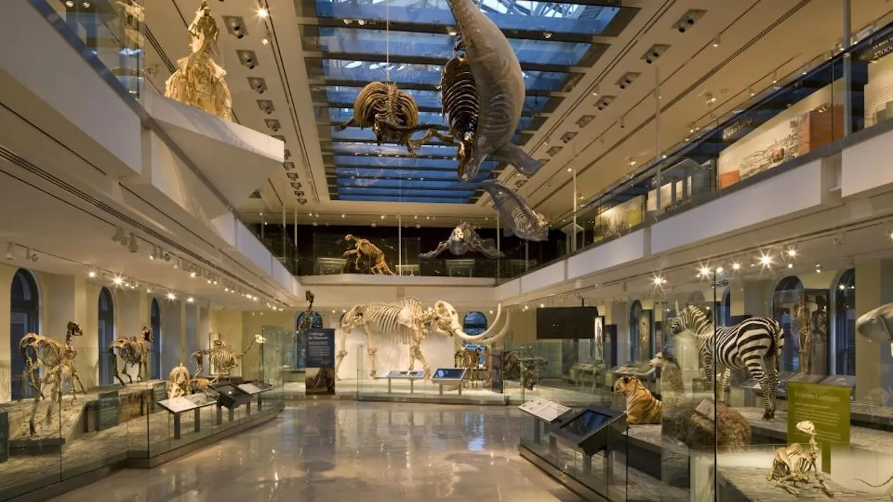 Universal Studios Hollywood + Natural History Museum Location