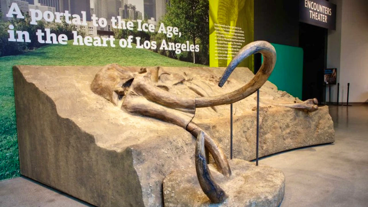 Universal Studios Hollywood + La Brea Tar Pits Museum Thrillark