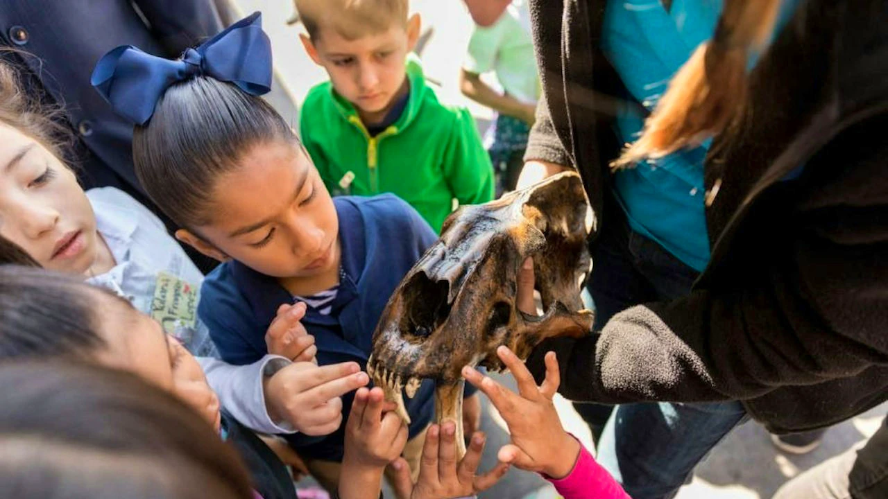 Universal Studios Hollywood + La Brea Tar Pits Museum Location