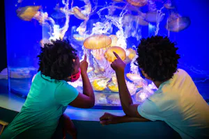 Aquarium of the Pacific Ticket + Battleship IOWA Museum