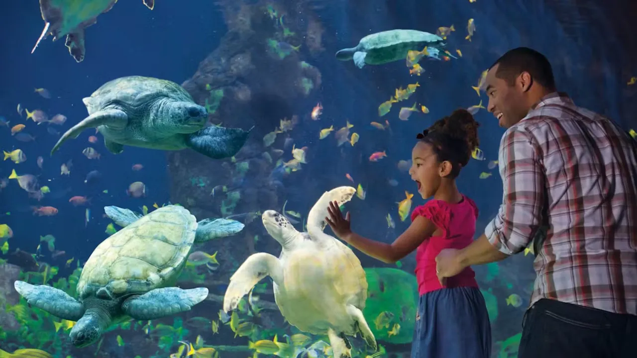 SeaWorld San Diego + USS Midway Museum Location