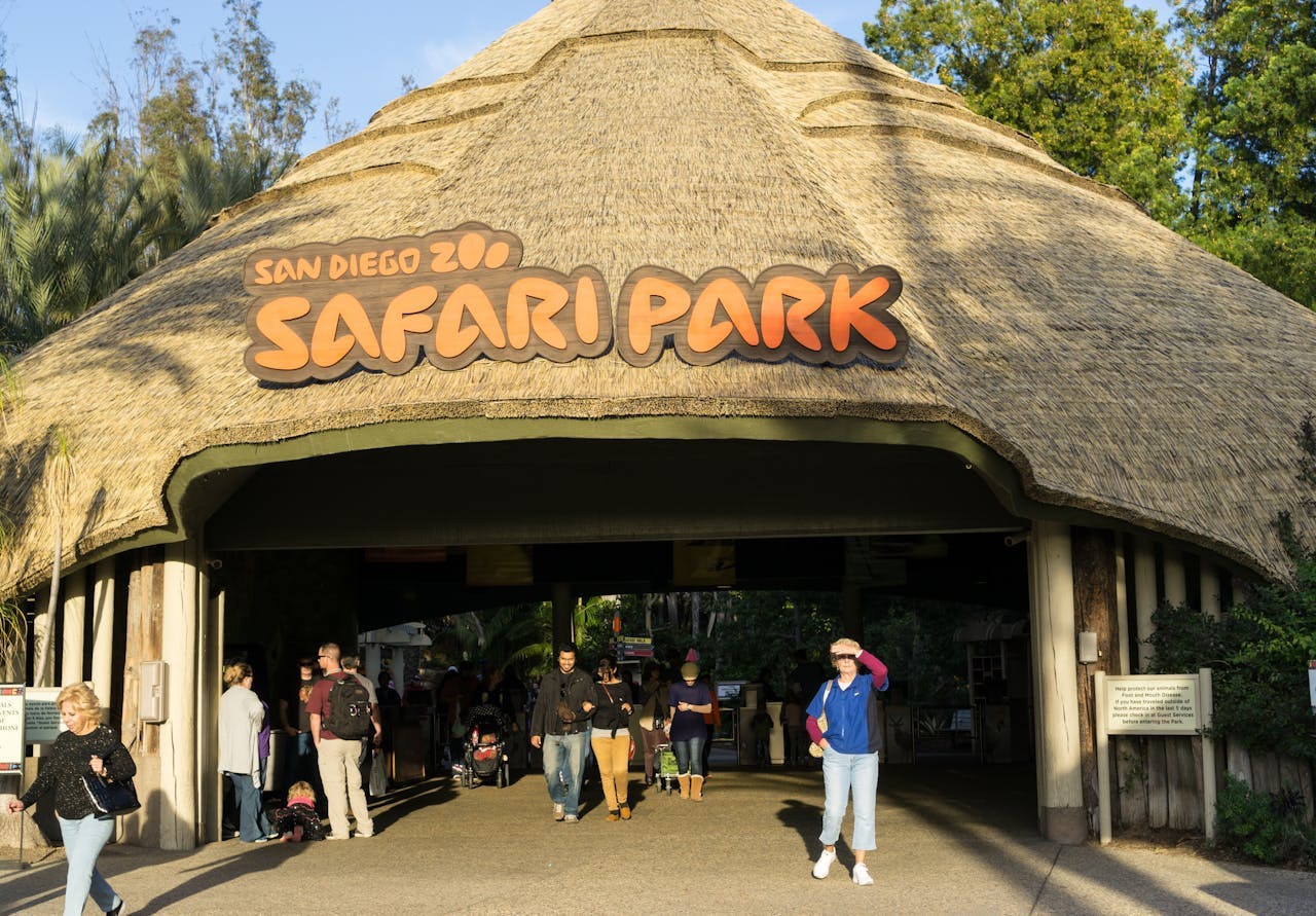 LEGOLAND California Ticket + San Diego Zoo Safari Park Thrillark
