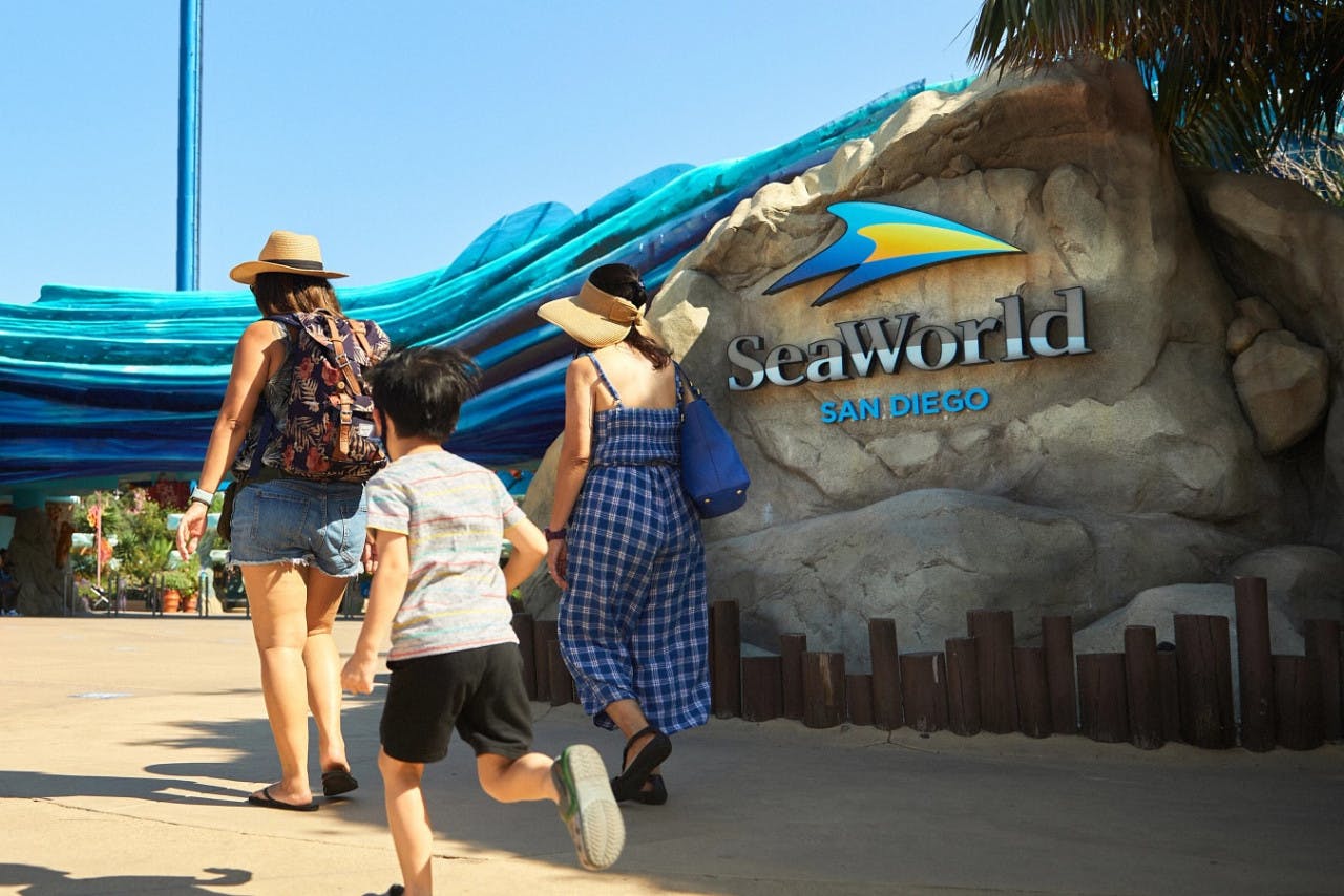 LEGOLAND California Ticket + SeaWorld San Diego Thrillark