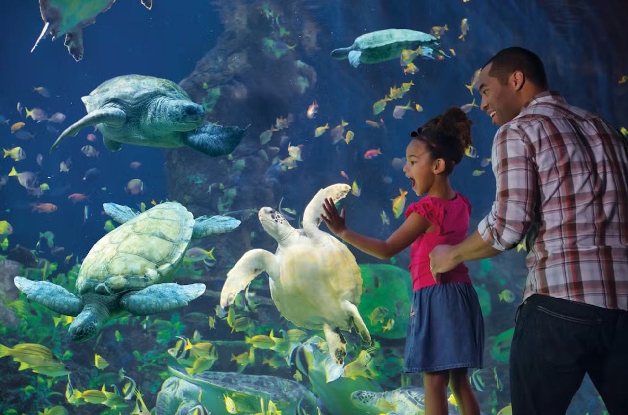 LEGOLAND California Ticket + SeaWorld San Diego 