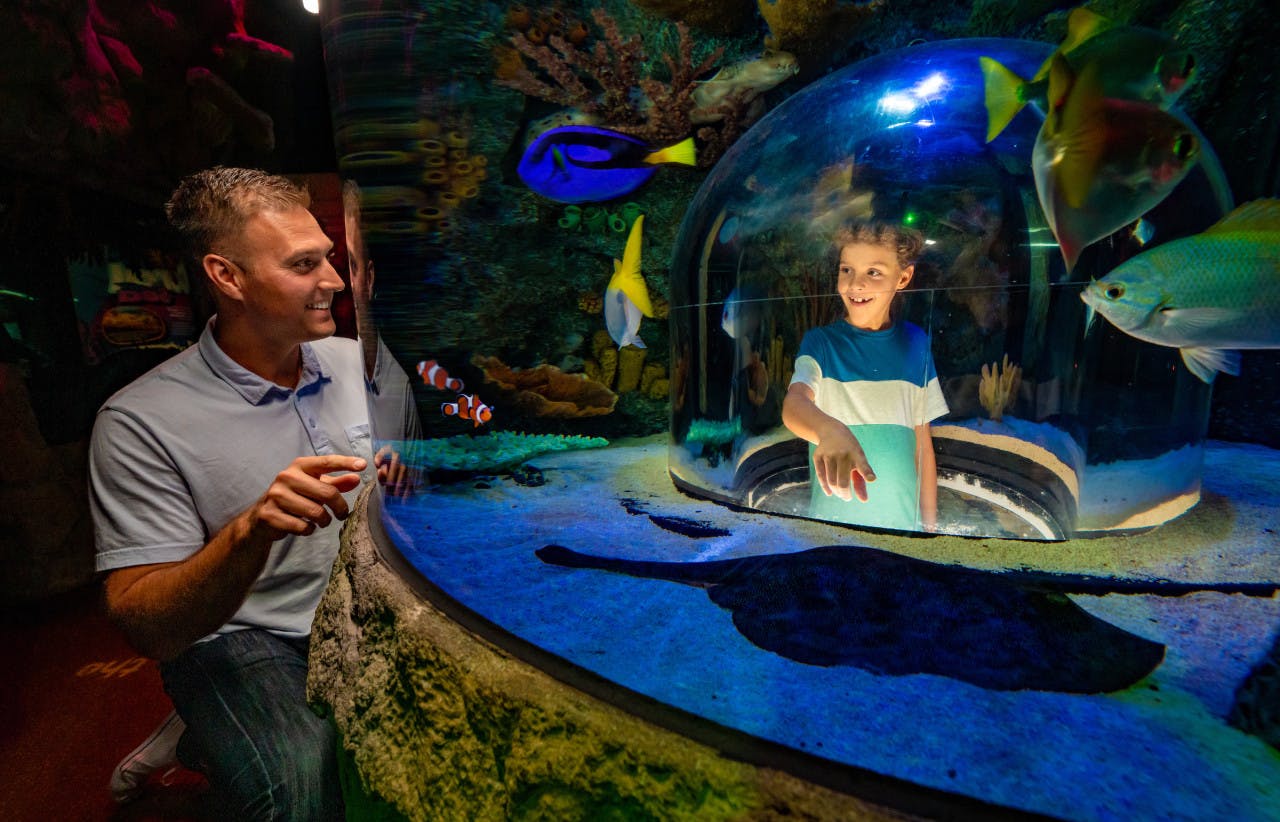 LEGOLAND Florida + SEA LIFE Orlando 