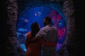 Sea Life Orlando Tickets + Madame Tussauds Orlando Ticket