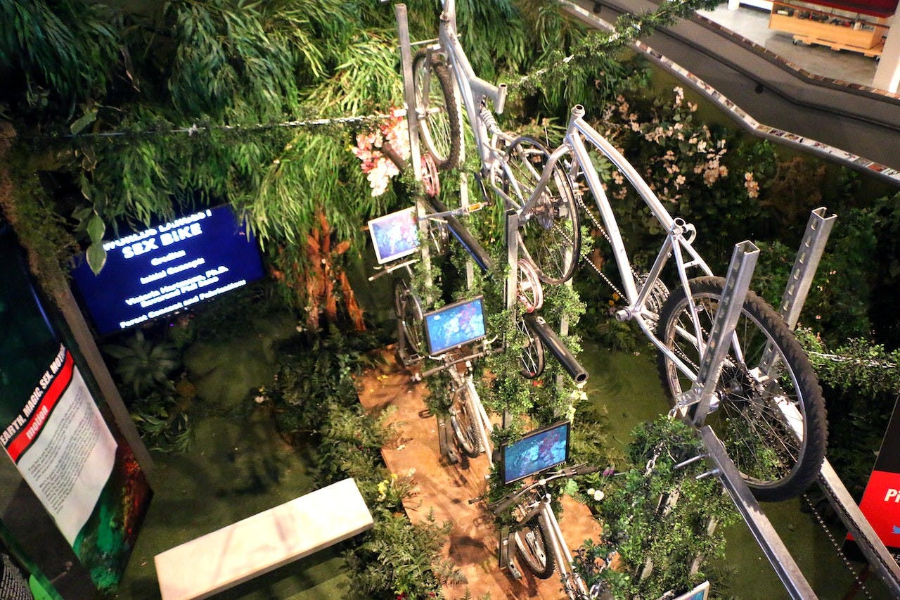 Natural History Museum + Erotic Heritage Museum Review