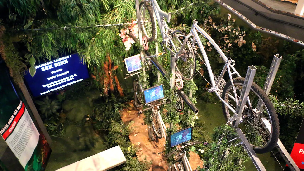 Natural History Museum + Erotic Heritage Museum Review