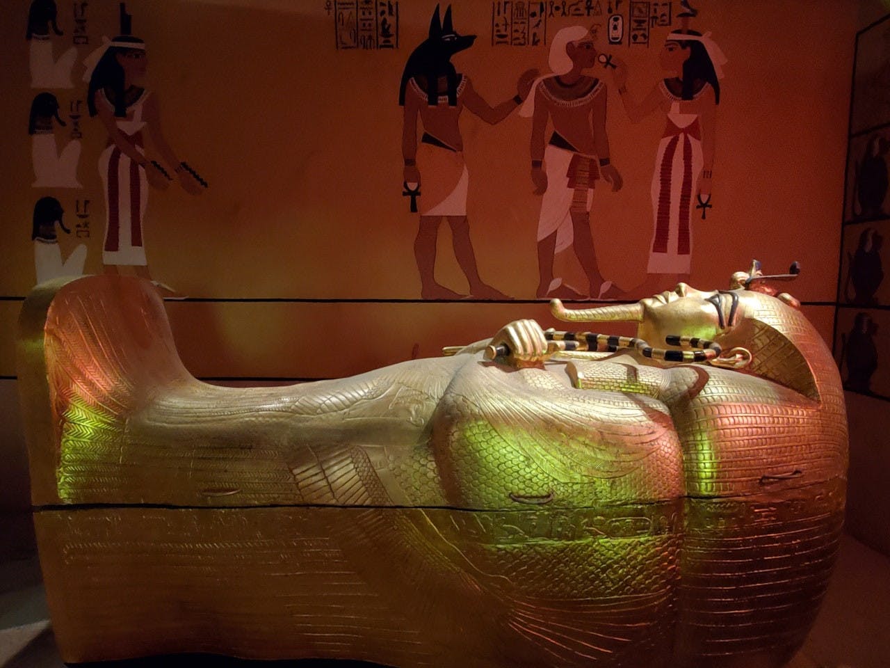 Natural History Museum + Erotic Heritage Museum Ticket