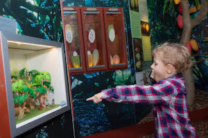 Chocolate Museum – Choco-Story Paris