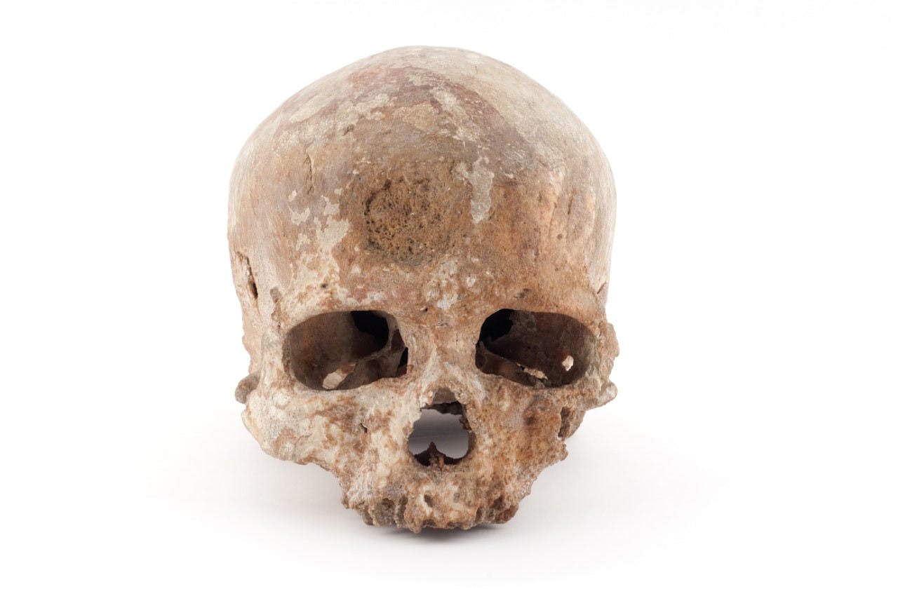 Musée de l'Homme Ticket Discount